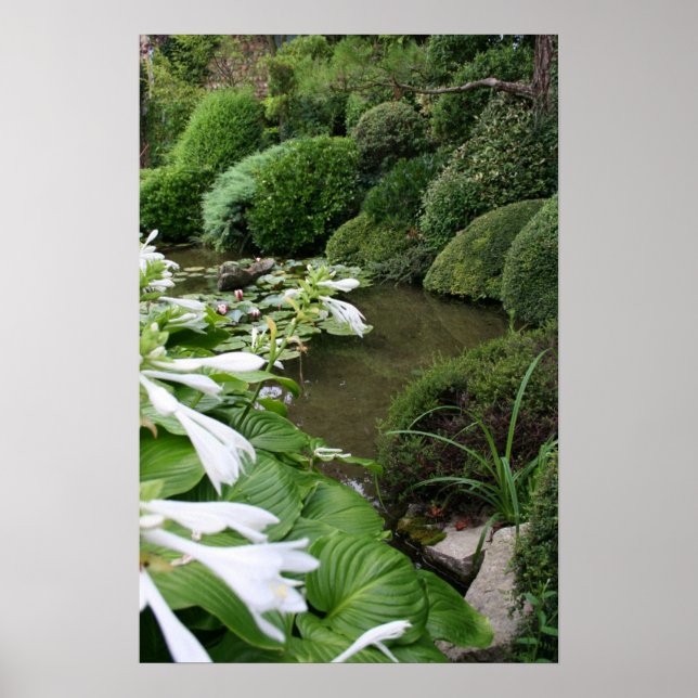 Hosta i en Zen Garden Poster (Framsidan)