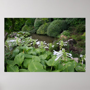Hosta i en Zenträdgård 2 Poster