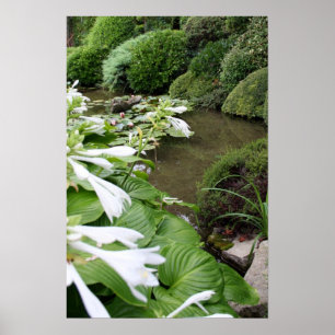 Hosta in a Zen Garden Poster