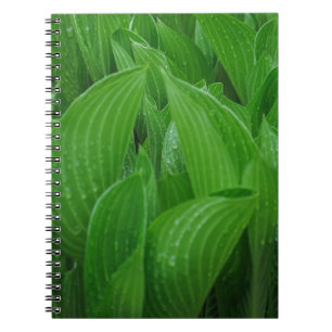 Hosta Löv med anteckningsbok för Raindrops Spiral