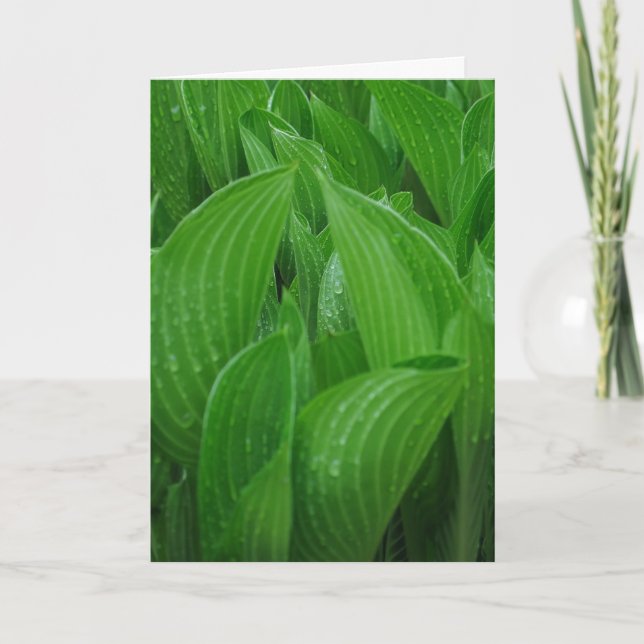 Hosta Löv med Raindrops Birthday Card Kort (Framsida)