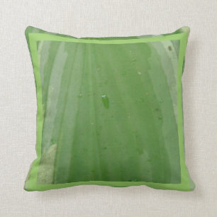 hosta löv, nästan solid grönt kudde