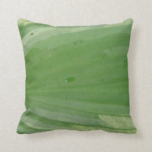 hosta löv, nästan solid grönt kudde