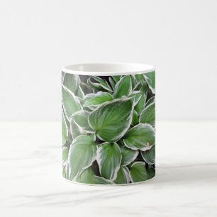 Hosta Lövs Kaffemugg