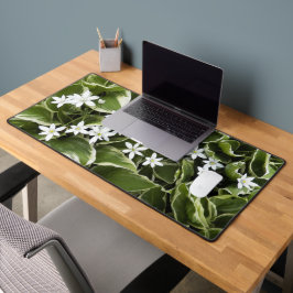 Hosta Lövs och White Ornithogalum Blommigt