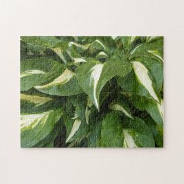 Hosta Lövs Pussel