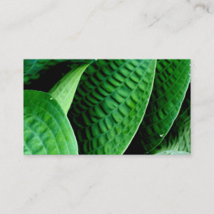 Hosta Lövs Visitkort