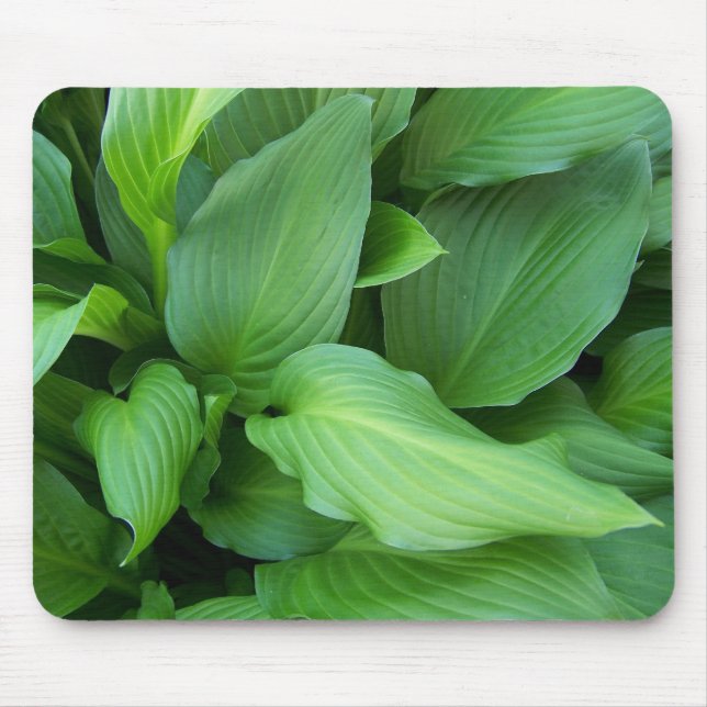 Hosta Mousepad Musmatta (Framsidan)