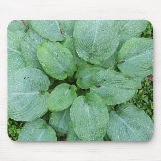 Hosta Mousepad Musmatta (Framsidan)