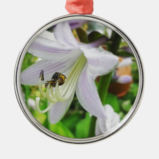 Hosta och en insekt julgransprydnad metall (Framsidan)