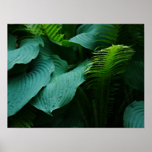 Hosta och Fern Poster