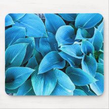 Hosta växt Musmatt