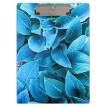 Hosta växt Urklippstavla