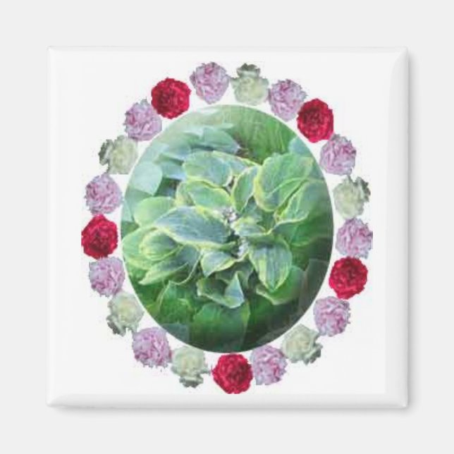 Hosta w/ Red White Rosa Peonies  Magnet (Framsidan)