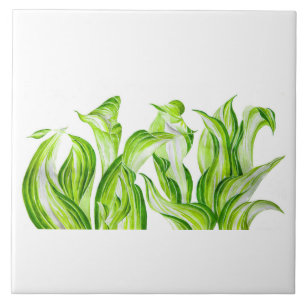 "Hosta with the Mosta" på en keramisk tile Kakelplatta
