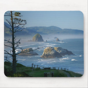 Höstacksten, kanonstrand, Oregon Musmatta