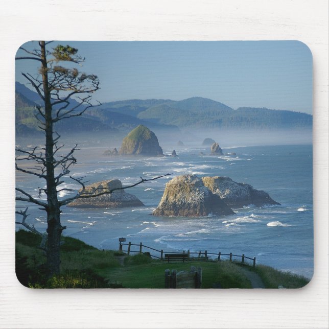 Höstacksten, kanonstrand, Oregon Musmatta (Framsidan)