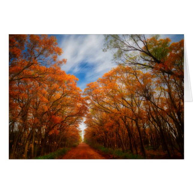 Höstafton Hälsningskort (Framsidan Horizontal)