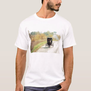 HöstAmish häst och Buggy Tee