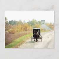 HöstAmish häst och Buggy