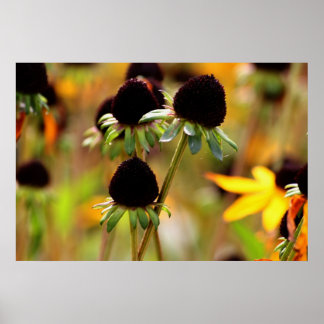 Höstantaganden Poster