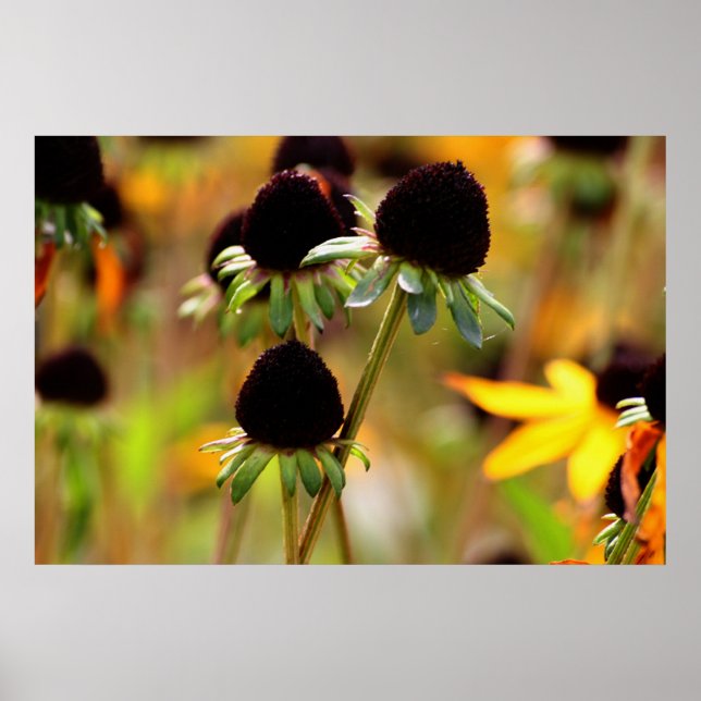 Höstantaganden Poster (Framsidan)