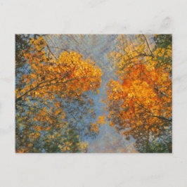 Höstantagning Vykort