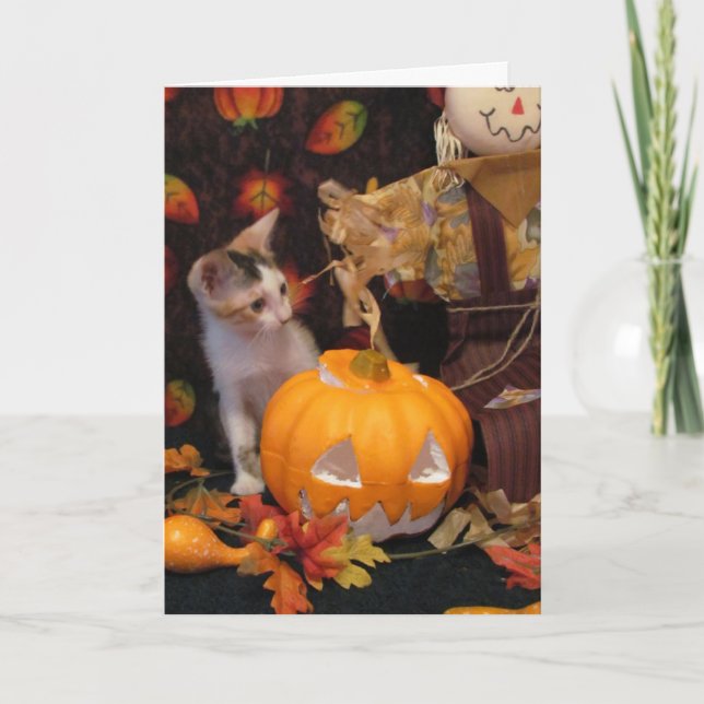 Höstårens Halloween - Katt/Kitten Halloween-kort Kort (Framsida)
