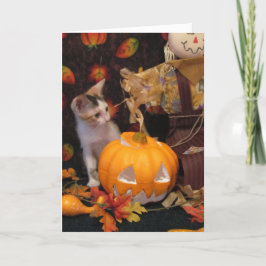 Höstårens Halloween - Katt/Kitten Halloween-kort Kort