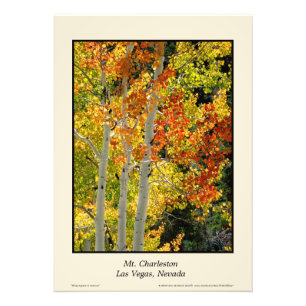 Höstaspen för Mt. Charleston NV 20"" affisch x28 Fototryck