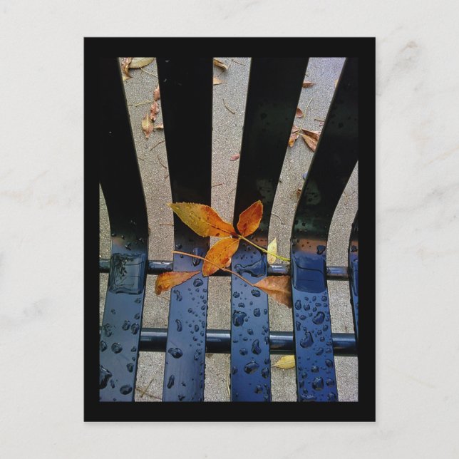 höstbänk vykort (Framsida)