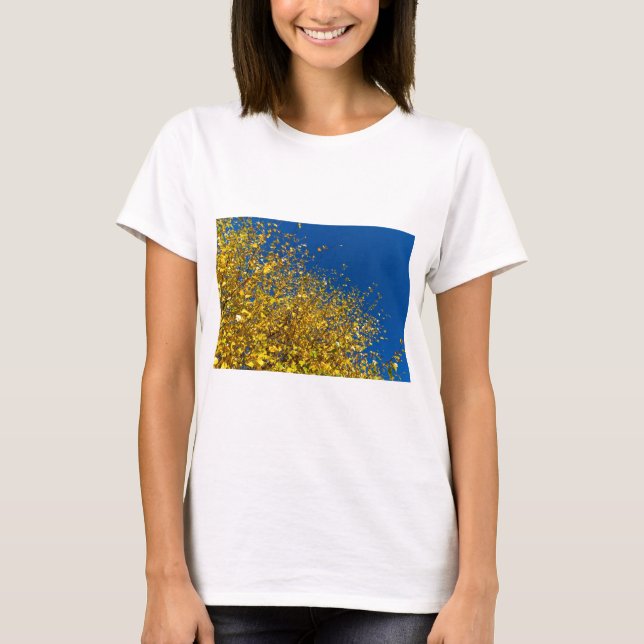 Höstblå himmel t-shirt (Framsida)