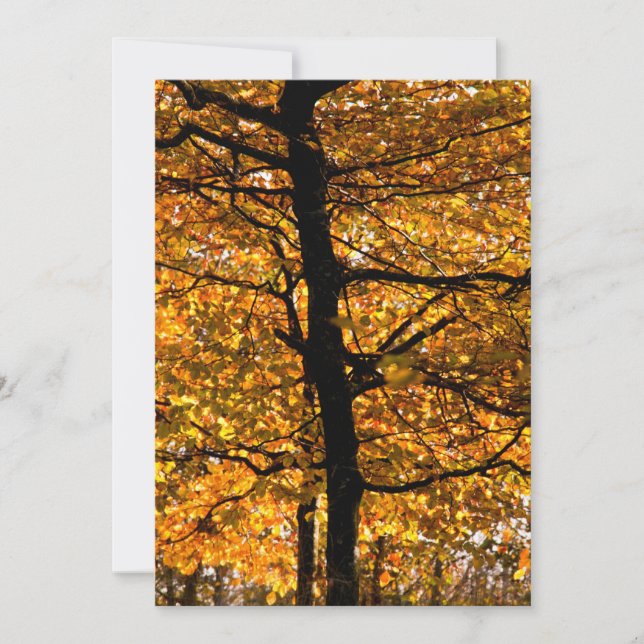 Höstblad (Framsida)