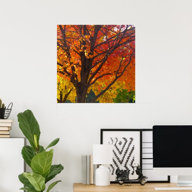 Höstblad av gult och orange foto poster (Hemmakontoret)