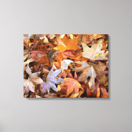 Höstblad Canvas Väggkonst