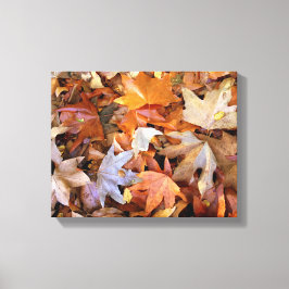 Höstblad Canvas Väggkonst