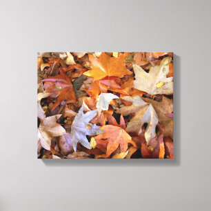 Höstblad Canvas Väggkonst