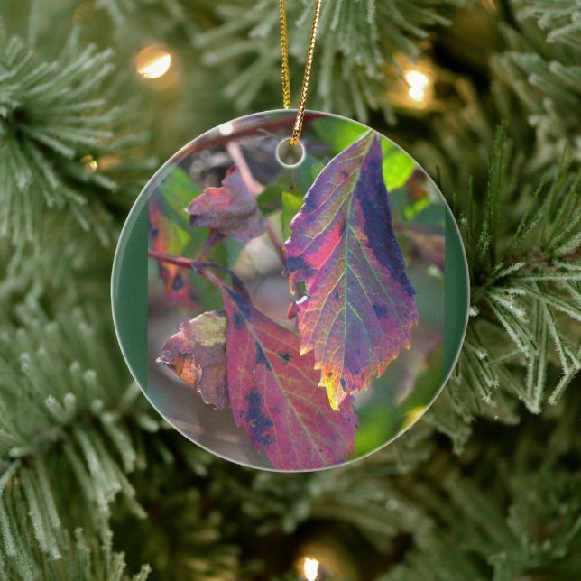 Höstblad Foto Ornament  (Träd)