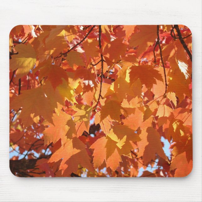 Höstblad musmattor Orange Fall Trädblad (Framsidan)