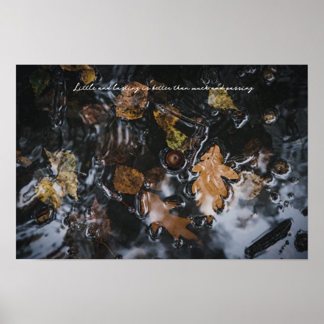 Höstblad och ekollon i mystiska vatten poster (Framsidan)