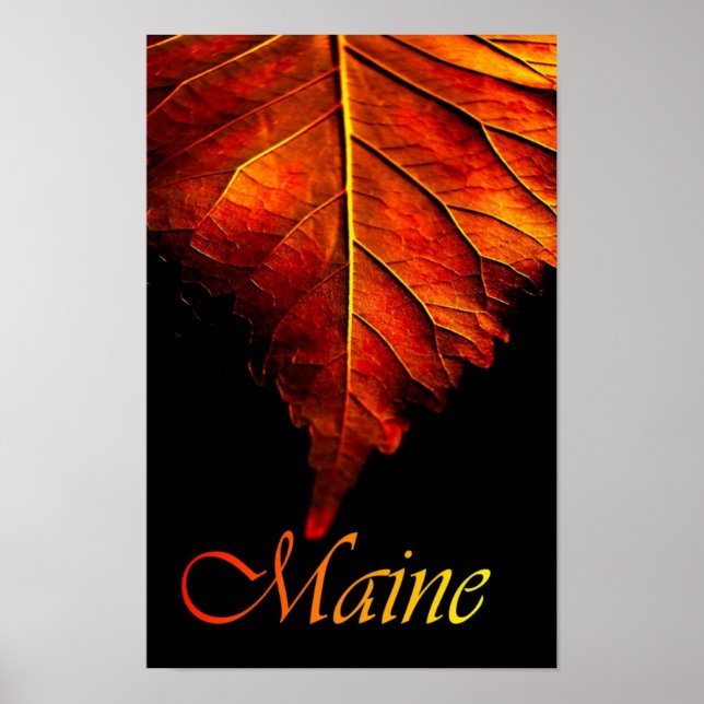 Höstblad Poster | Fall Leaf Poster (Framsidan)