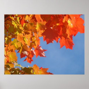 Höstblad posters Blå himmel natur konsttryck