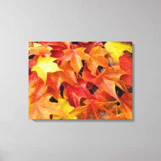 Höstblad Röda Gula Orange Fall Canvas konst