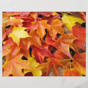Höstblad Scrapbooking papper Fall Leaves
