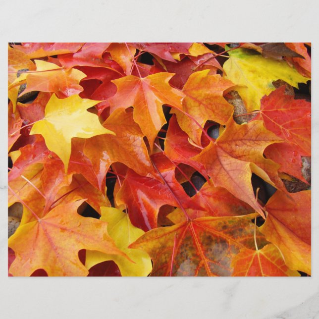 Höstblad Scrapbooking papper Fall Leaves (Framsida)
