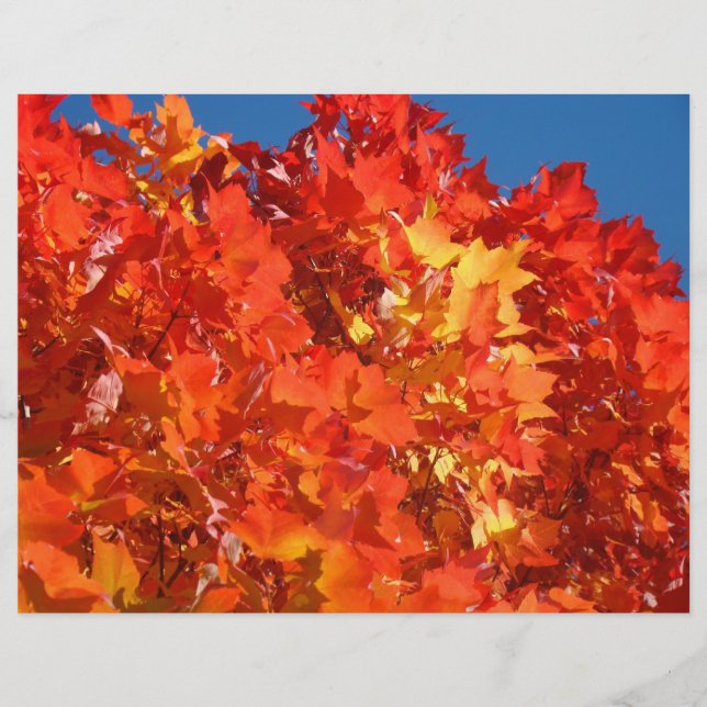 Höstblad Scrapbookpapper Scrapbooking Orange (Framsida)