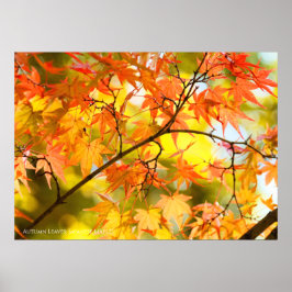 Höstblad [Value Poster Paper]