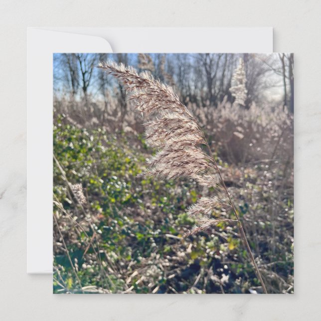 Höstblickar... Inbjudningar (Framsida)