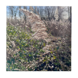 Höstblickar... Kakelplatta