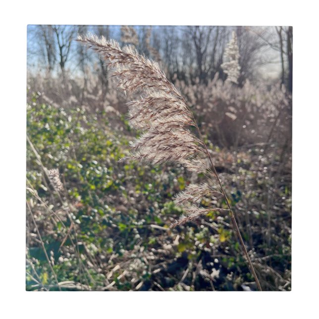 Höstblickar... Kakelplatta (Framsidan)